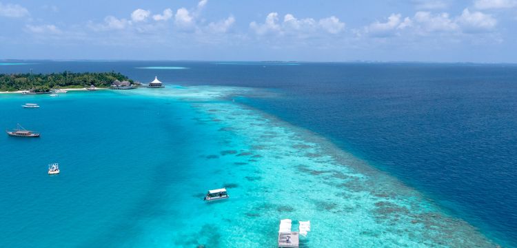 Wiza do Belize