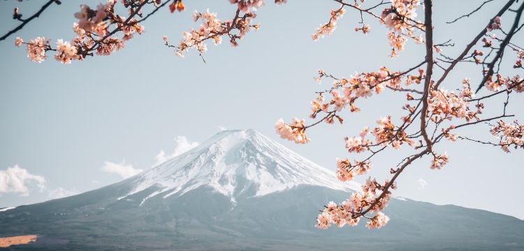 Wiza do Japonii